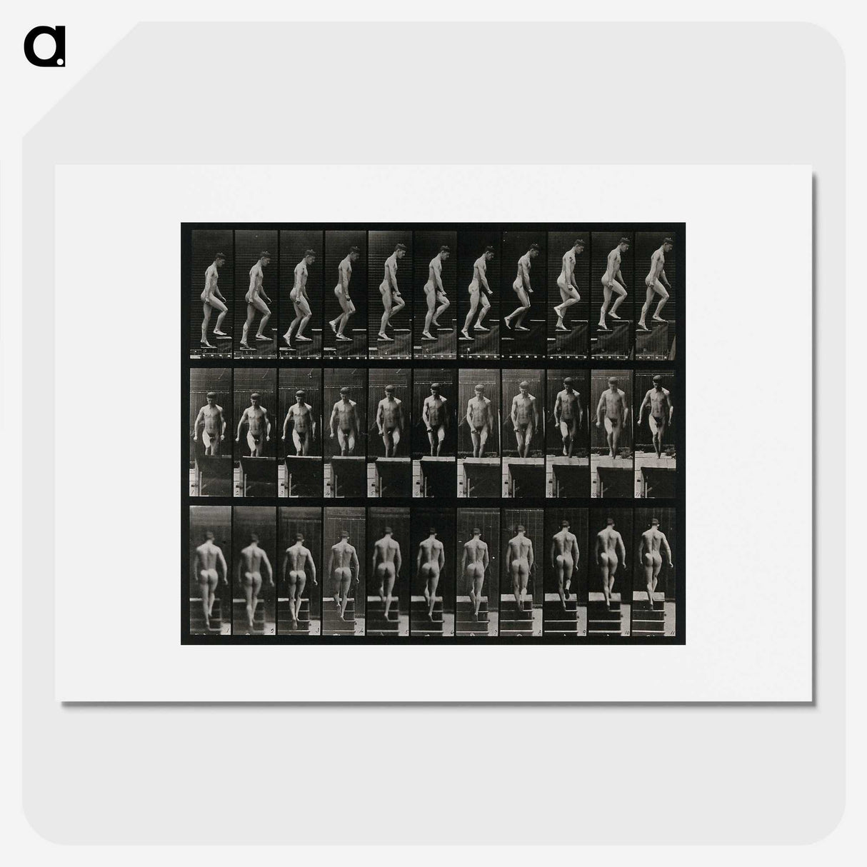 3-45_Eadweard-Muybridge_picture