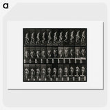 3-45_Eadweard-Muybridge_picture