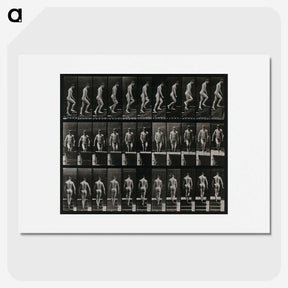 3-45_Eadweard-Muybridge_picture