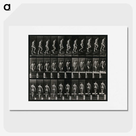 3-45_Eadweard-Muybridge_picture