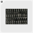3-45_Eadweard-Muybridge_postcard