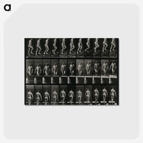 3-45_Eadweard-Muybridge_postcard