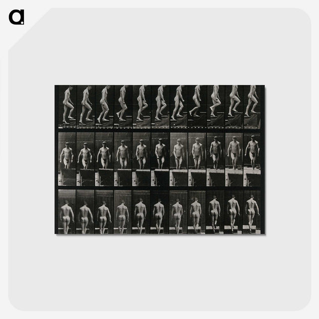 3-45_Eadweard-Muybridge_postcard