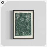 3-45_Ernst-Haeckel_blk-crop