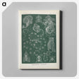 3-45_Ernst-Haeckel_canvas