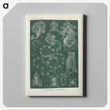 3-45_Ernst-Haeckel_canvas
