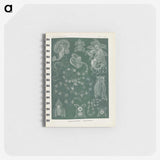 3-45_Ernst-Haeckel_memo