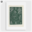 3-45_Ernst-Haeckel_picture