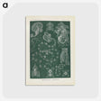 3-45_Ernst-Haeckel_postcard