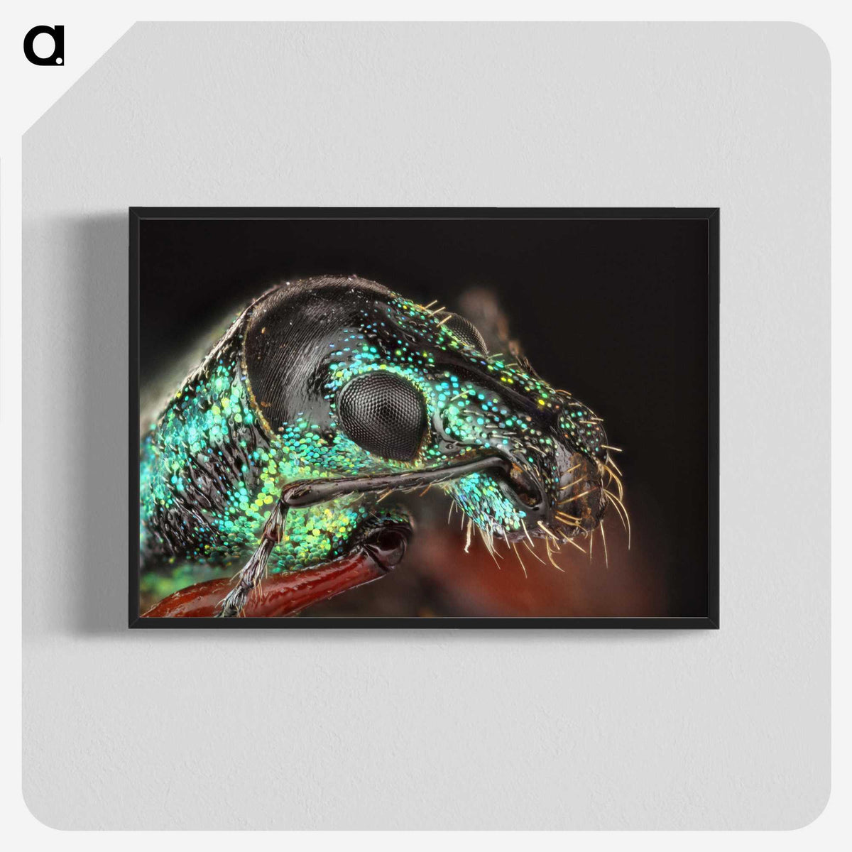 3-45_Insects-Unlocked-Project_blk-crop
