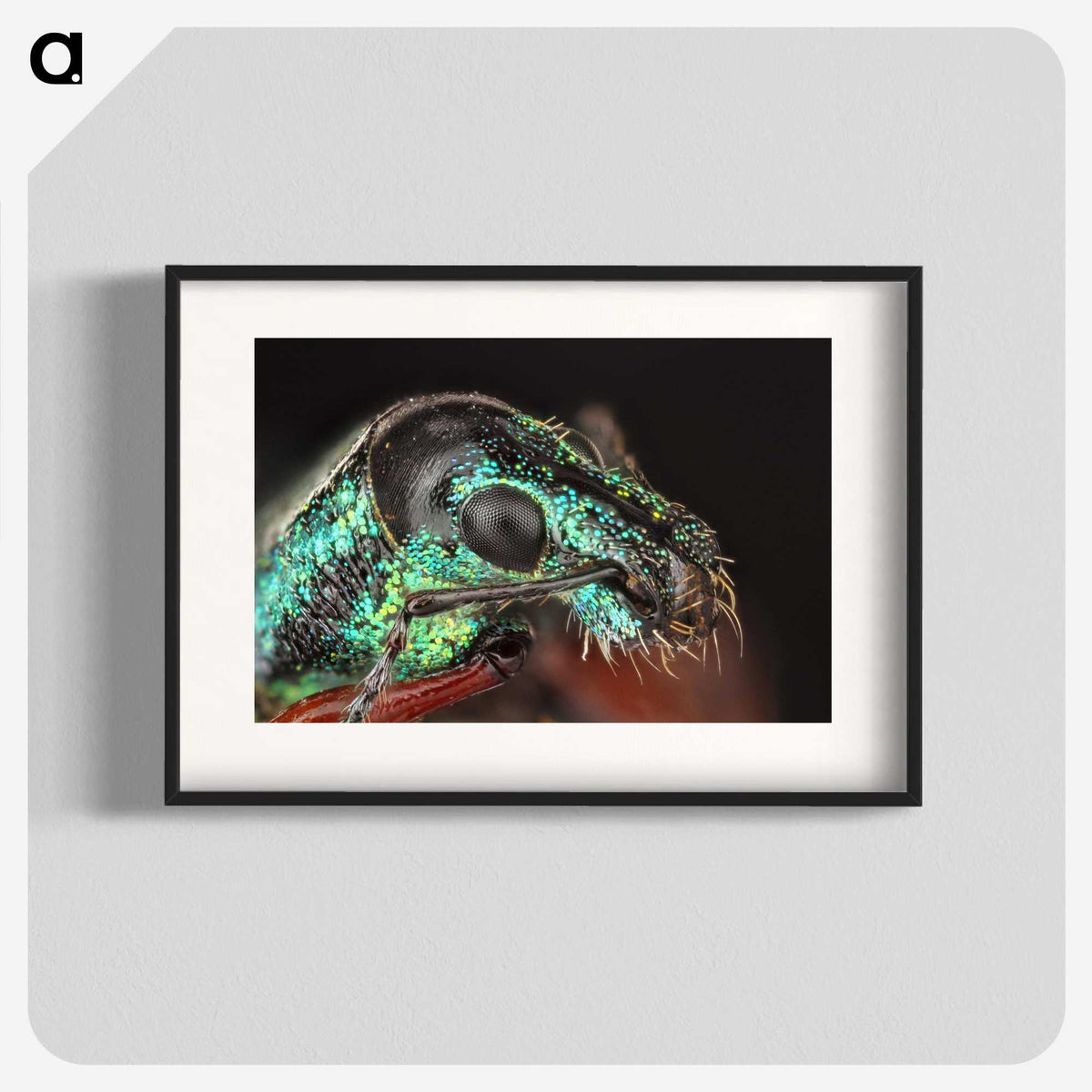 3-45_Insects-Unlocked-Project_blk
