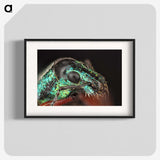 3-45_Insects-Unlocked-Project_blk