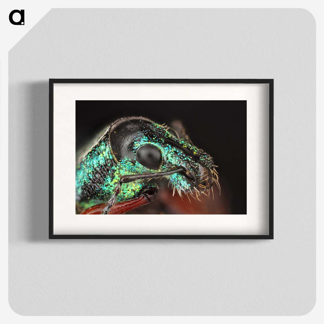 3-45_Insects-Unlocked-Project_blk