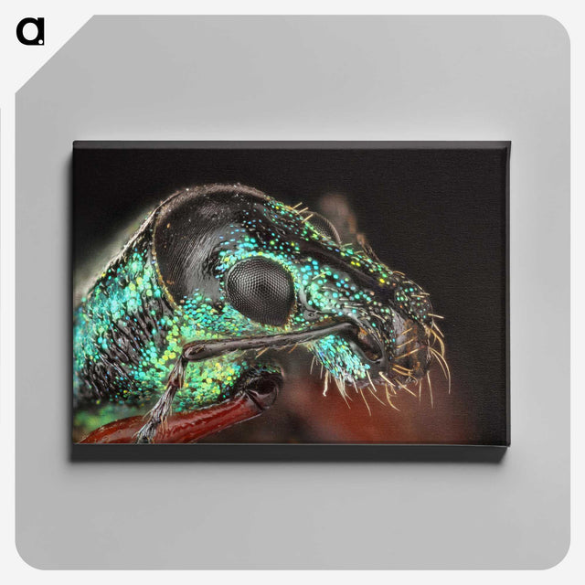 3-45_Insects-Unlocked-Project_canvas