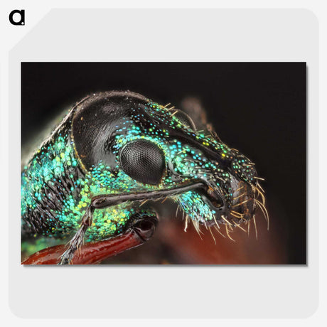 3-45_Insects-Unlocked-Project_picture-crop