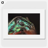 3-45_Insects-Unlocked-Project_picture