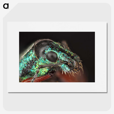 3-45_Insects-Unlocked-Project_picture