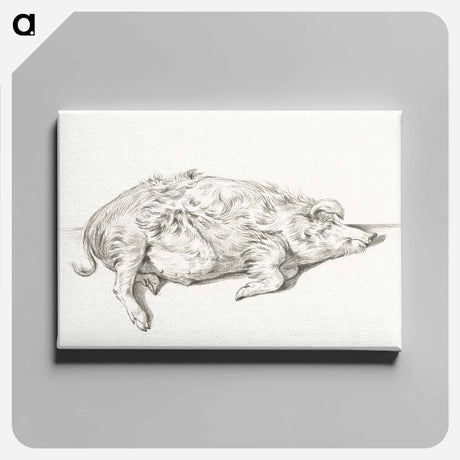 アートパネル-Lying pig - ジャン ベルナール Canvas.