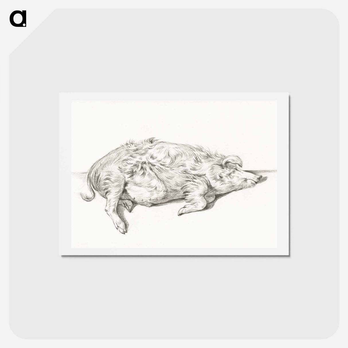 アートポストカード-Lying pig - ジャン ベルナール Postcard.