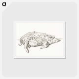 アートポストカード-Lying pig - ジャン ベルナール Postcard.