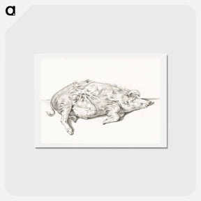 アートポストカード-Lying pig - ジャン ベルナール Postcard.
