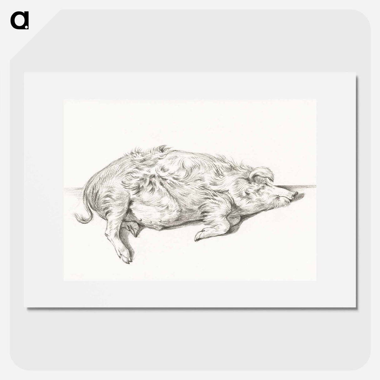 Lying pig - ジャン ベルナール Poster.