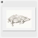 Lying pig - ジャン ベルナール Poster.