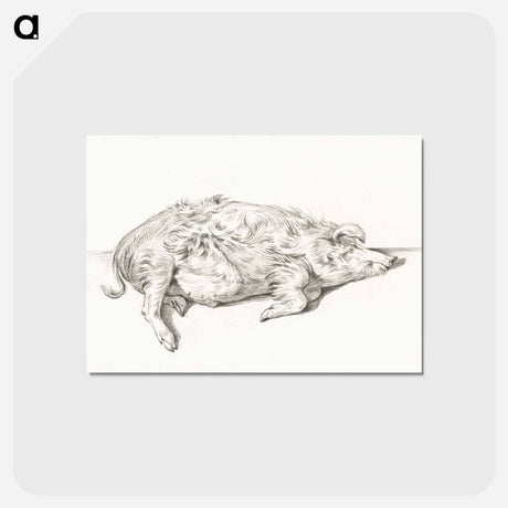 アートポストカード-Lying pig - ジャン ベルナール Postcard.