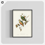 3-45_John-Gould_blk-crop