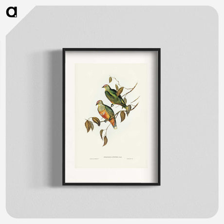 3-45_John-Gould_blk
