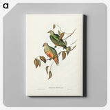 3-45_John-Gould_canvas