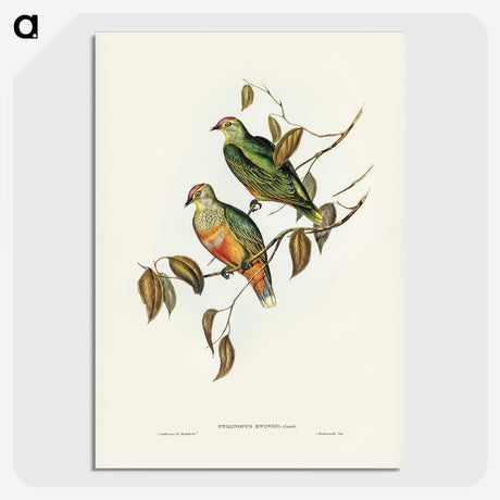 3-45_John-Gould_picture-crop