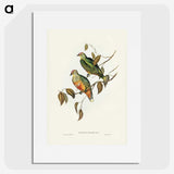 3-45_John-Gould_picture