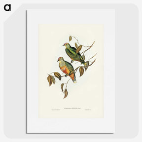 3-45_John-Gould_picture