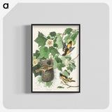 3-45_John-James-Audubon_blk-crop