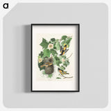 3-45_John-James-Audubon_blk