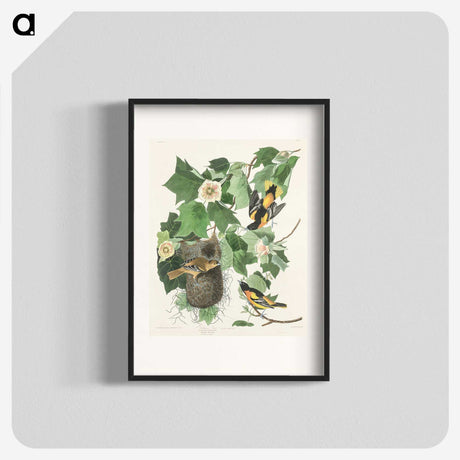 3-45_John-James-Audubon_blk