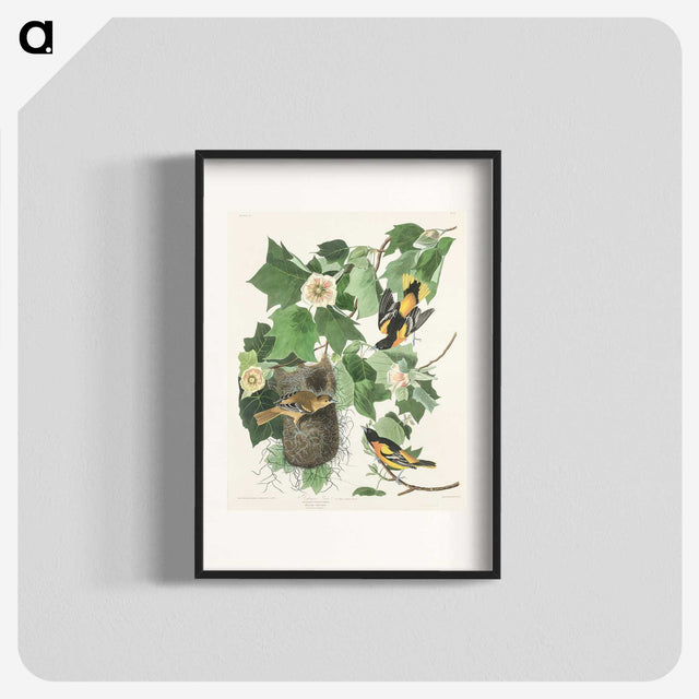 3-45_John-James-Audubon_blk