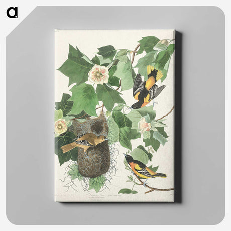 3-45_John-James-Audubon_canvas