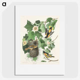 3-45_John-James-Audubon_picture