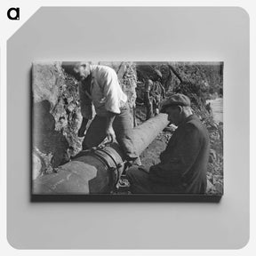 3-45_Leslie-Adkin_canvas