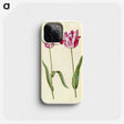 3-45_Maria-Sibylla-Merian_phone