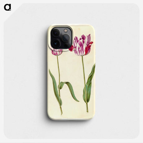 3-45_Maria-Sibylla-Merian_phone