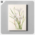 3-45_Mary-Vaux-Walcott_canvas