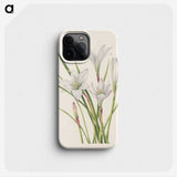 3-45_Mary-Vaux-Walcott_phone