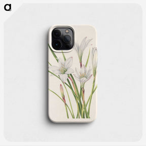 3-45_Mary-Vaux-Walcott_phone