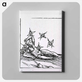 アートパネル-Attack by Insects
 - 国立医学図書館 Canvas.