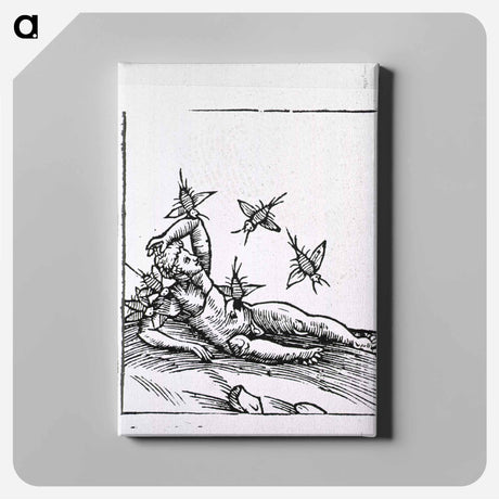 アートパネル-Attack by Insects
 - 国立医学図書館 Canvas.