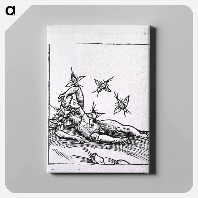 アートパネル-Attack by Insects
 - 国立医学図書館 Canvas.