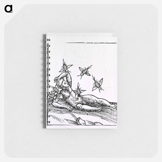アートメモ帳-Attack by Insects
 - 国立医学図書館 Memo.